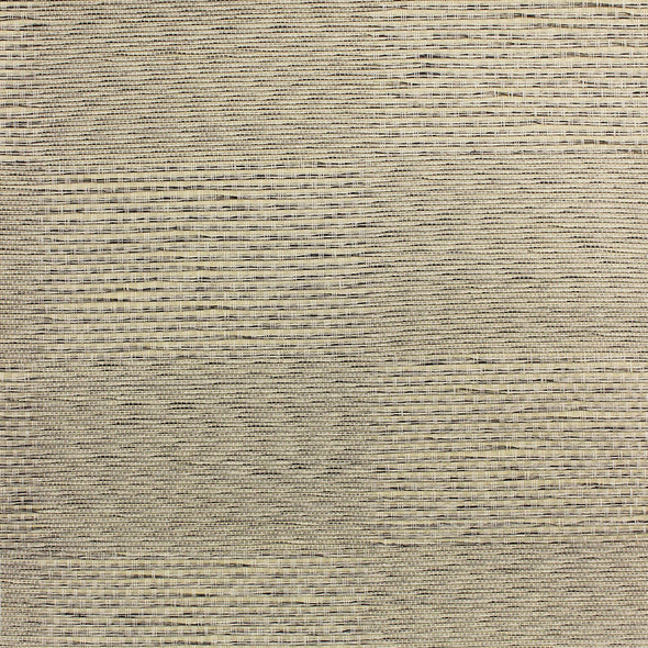 504-MIS-0014 / soft focus