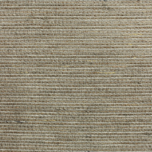 504-MIS-0020 / soft focus