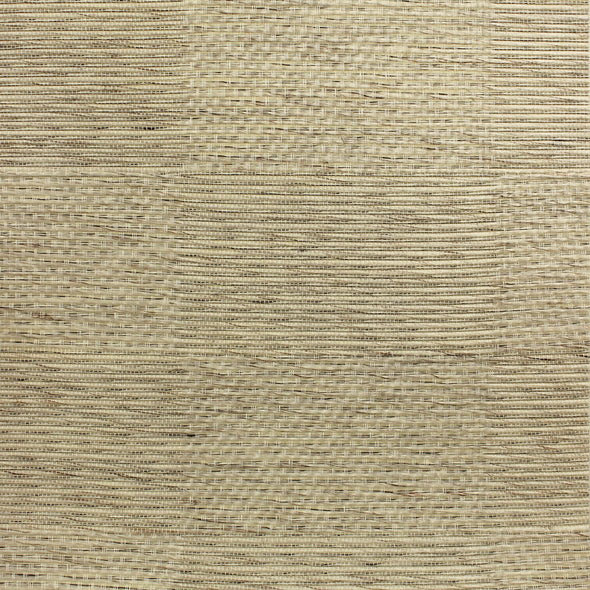 504-MIS-0023 / soft focus