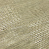 504-MIS-0025 / soft focus
