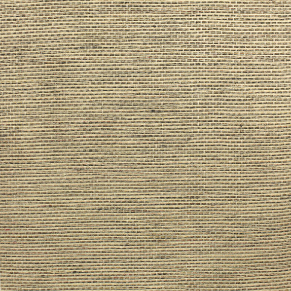 504-MIS-0049 / soft focus