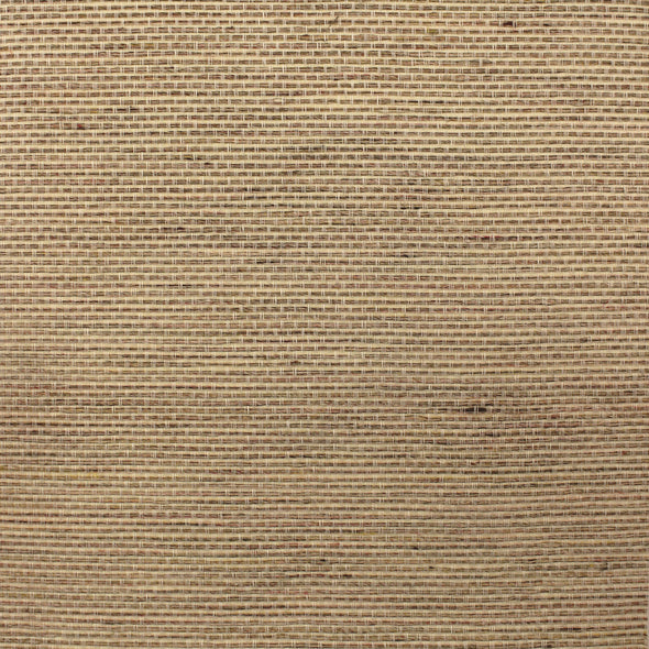 504-MIS-0050 / soft focus
