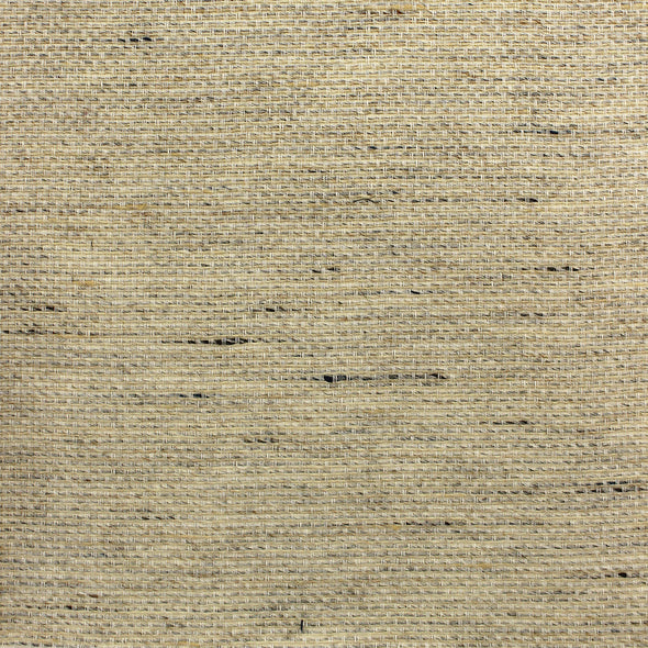 504-MIS-0051 / soft focus