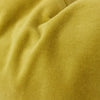 Plush in Golden Light Pillow